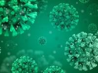depiction of coronavirus